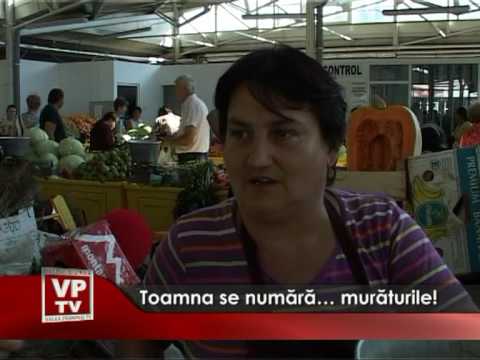 Toamna se numara muraturile