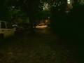 Robbers Kidnap Dog At Gunpoint