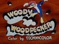 Woody Woodpecker theme – Woody Woodpecker theme