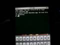 iTouchGuru: Term-vt100 hidden apps, and cool features!