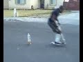High scooter jump