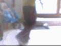 JumpFreaks / JumpingFanny Ft. JumpingMath