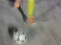 Corella Glober Troters