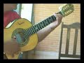 ponteio de viola solo
