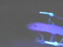 some psycadelic \"eruption\" type licks