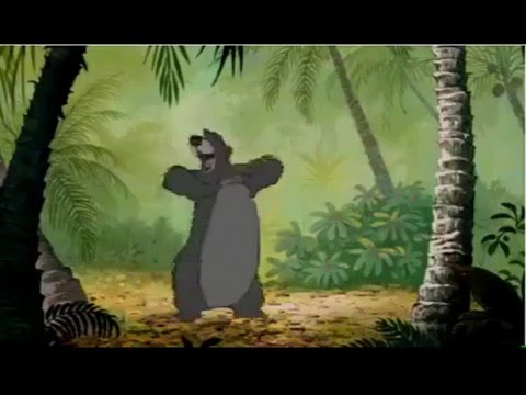 video-show