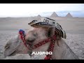 Ajale con los corraleros...