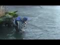 Prezerané video