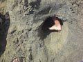Beach Tunnels