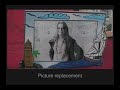 Using Photographs to Enhance Videos of a Static Scene