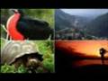 videos de Islas Galápagos.wmv