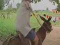 videos de Superação