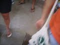 Matricula dos Calouros