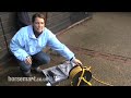 How to Clip Your Horse