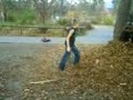 Laubmonster