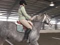 Horse Gaits : Lengthening the Different Horse Gaits