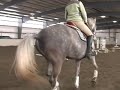 Often the strides of a horse's gait must be lengthened to cover the line. Learn to lengthen gaits with tips from an experienced riding instructor in this free video series on horse gaits.Expert: Mara Keith-Hunter Contact: www.sycamore-stables.com Bio: Mara Keith-Hunter is a lifelong equestrian and head coach for the Hampshire College equestrian team. She rode in the Intercollegiate National Horse Show for two universities. Filmmaker: David Pakman