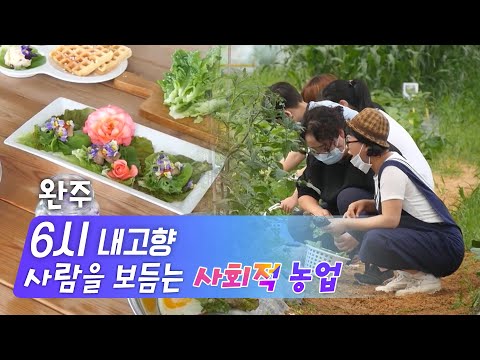 [KBS 6시 내고향] 사람을 보듬는 ‘사회적 농업’ - 전북 완주