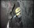 Caving in the Canyon, Part2