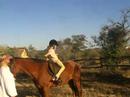 Hoedspruit horse riding