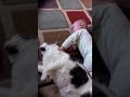 Click here to watch this video Anderson pets Dooney the cat May 19 th 2012