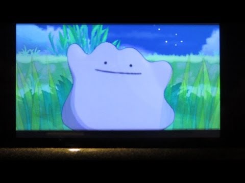 how to find ditto in pokemon x