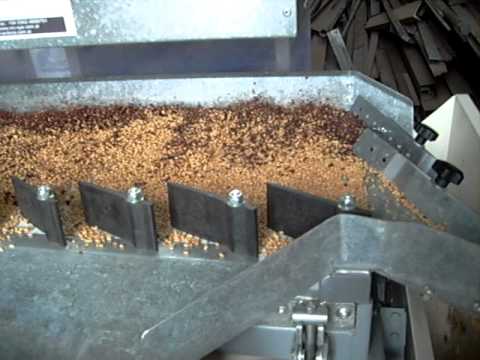 how to fertilize rosa rugosa