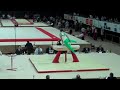 Click here to watch this video Chris O'Connor Pommels.MP4