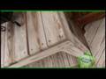videos de TimberSil