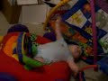 JJ falls over and lays down in his car toy