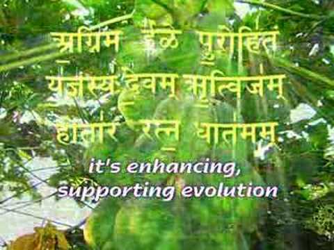 Organic gardening: How to grow an organic vegetable garden