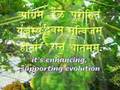 Maharishi Vedic Organic Honey Ad
