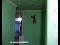 Забавные животные [Сентябрь 2011]
