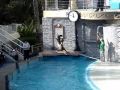 Sea World