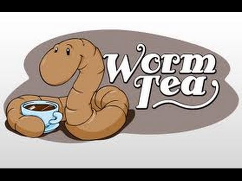 how to fertilize with worm tea