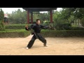 An Wushu - Baji Quan