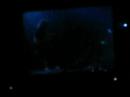 aqueous