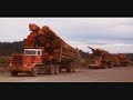 i wanna be a truck driver