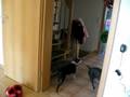 videos de Balloon Fight