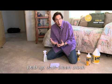 how to remove urine stains