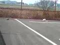 滋賀県 ラジコン屋久保栄商店RCパークでMシャーシ???