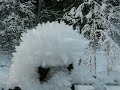 Snow monster
