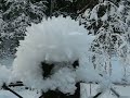 Snow monster