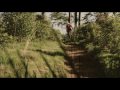 TRAILER Dirt Rider #10