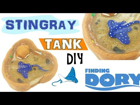 MINI STINGRAY TANK FINDING DORY