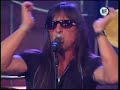 rata blanca   la otra cara de la moneda  animal nocturno 
