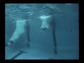 Bremens Schwimm Elite Bremens Schwimm Elite