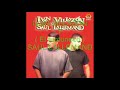 ivan villazon - el pajaro herido