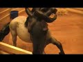 Nakota Part 5