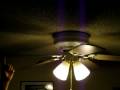 finch riding ceiling fan finch riding ceiling fan